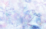ʥֽ