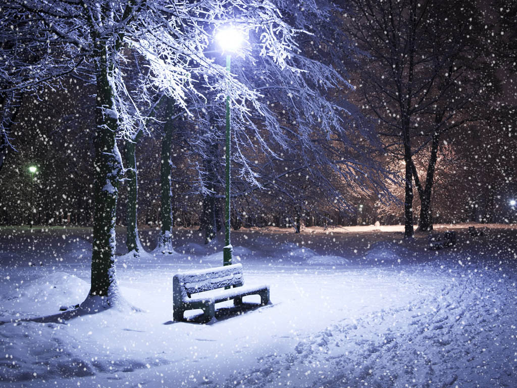 可商用视频素材之5个下雪雪景唯美孤独雪地冬天自然剪辑背景_哔哩哔哩_bilibili