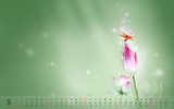 20115ֽ ˰2011ȫֽ