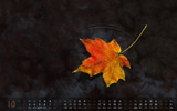 201110ֽ ˰2011ȫֽ