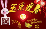 2011汳