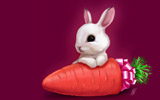ɰ2011ֻֽ