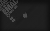 APPLEƻԱֽ