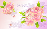 ʸ ʻֽ