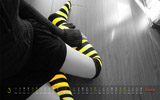 ɫŮ20113ֽ