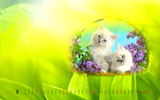 èҡ20116