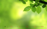 Ҷ20116ֽ