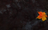 Ҷˮ