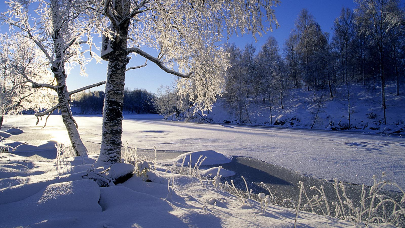 冬雪桌面背景 风景壁纸 壁纸下载 彼岸桌面
