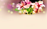 ĻܱͼƬ