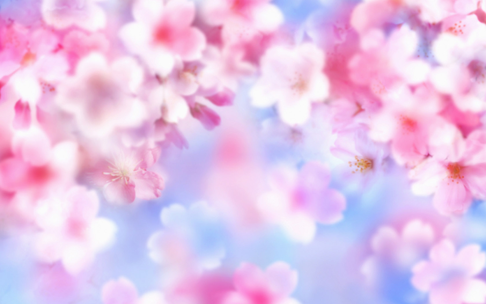 粉色花背景图片桌面 花卉壁纸 壁纸下载 彼岸桌面