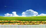 ̲ݵʻֽ