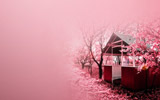 ӣĹֽ