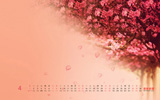 ӣ20124ֽ