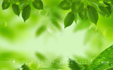 ɫС20124ֽ