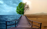 ںĴɳĮֽ