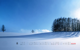 ķ羰ѩ20128ֽ