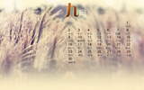 qqռ20129汳