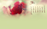 qqռ 20129ֽ 