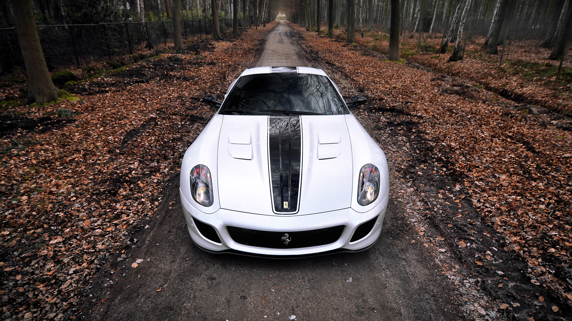 599 GTO,ֽܳ