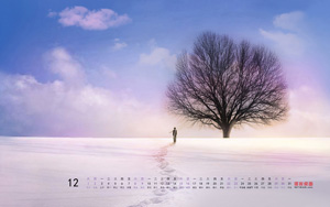 п201212ֽ 2012ȫֽ