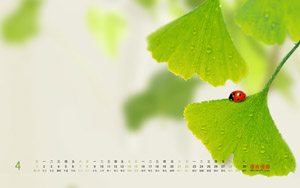 Ҷ20124ֽ 2012ȫֽ
