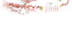 qqռ2013 ÷