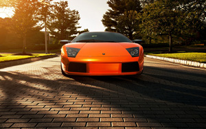 ɫMurcielagoֽ