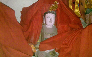 ֽ