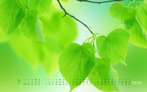 Ҷ20137ֽ