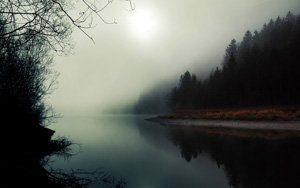 Ȼ,ɭ,,,羰ֽ