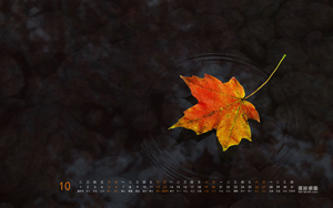ˮҶ201310ֽ 2013ȫֽ