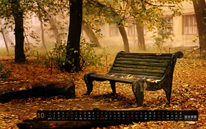 2013ʮֽ 칫԰ɫľɰʡҶ