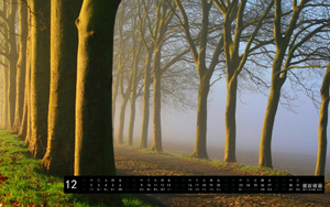 ˰201312·羰ֽ