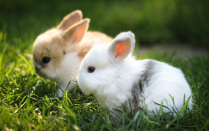 ̲ݵأɰӱɫֽ