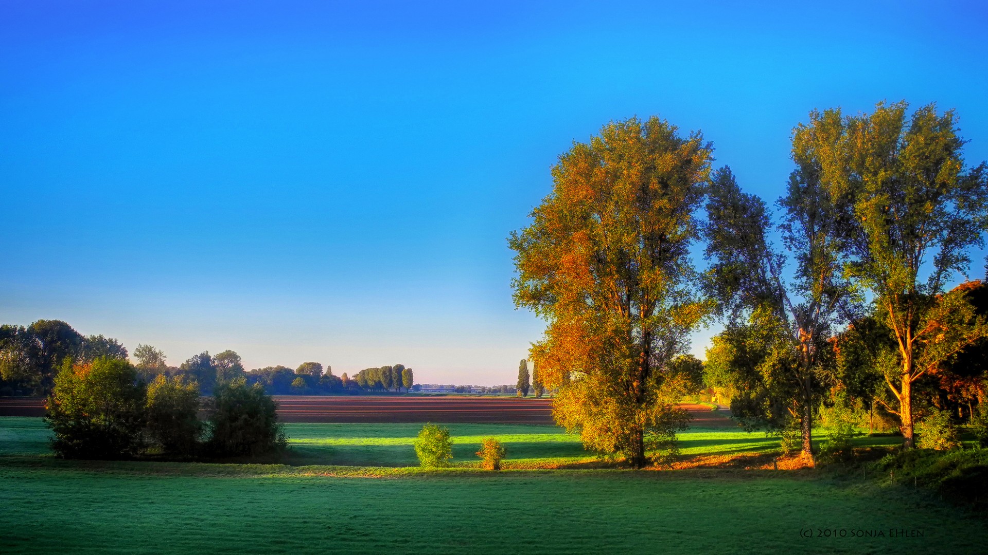 农场 树 早上 秋天 风景桌面壁纸高清大图预览19x1080 风景壁纸下载 彼岸桌面