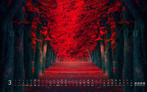 20143ֽ-ͨõķ羰