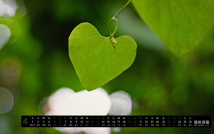 20144ֽ-Ҷ