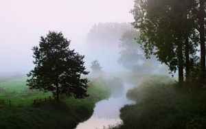 Ȼ,糿,С,,,ֽ