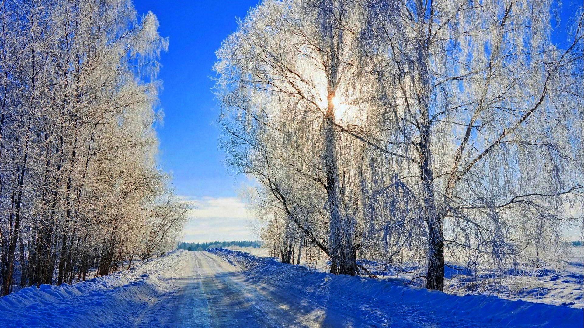 冬天 雪 路 树木 太阳 蓝色雪景 自然风景壁纸 彼岸壁纸手机版