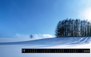 ˰201511ֽ 2015ȫֽ