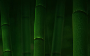 ֣ɫӣۣ羰ֽ