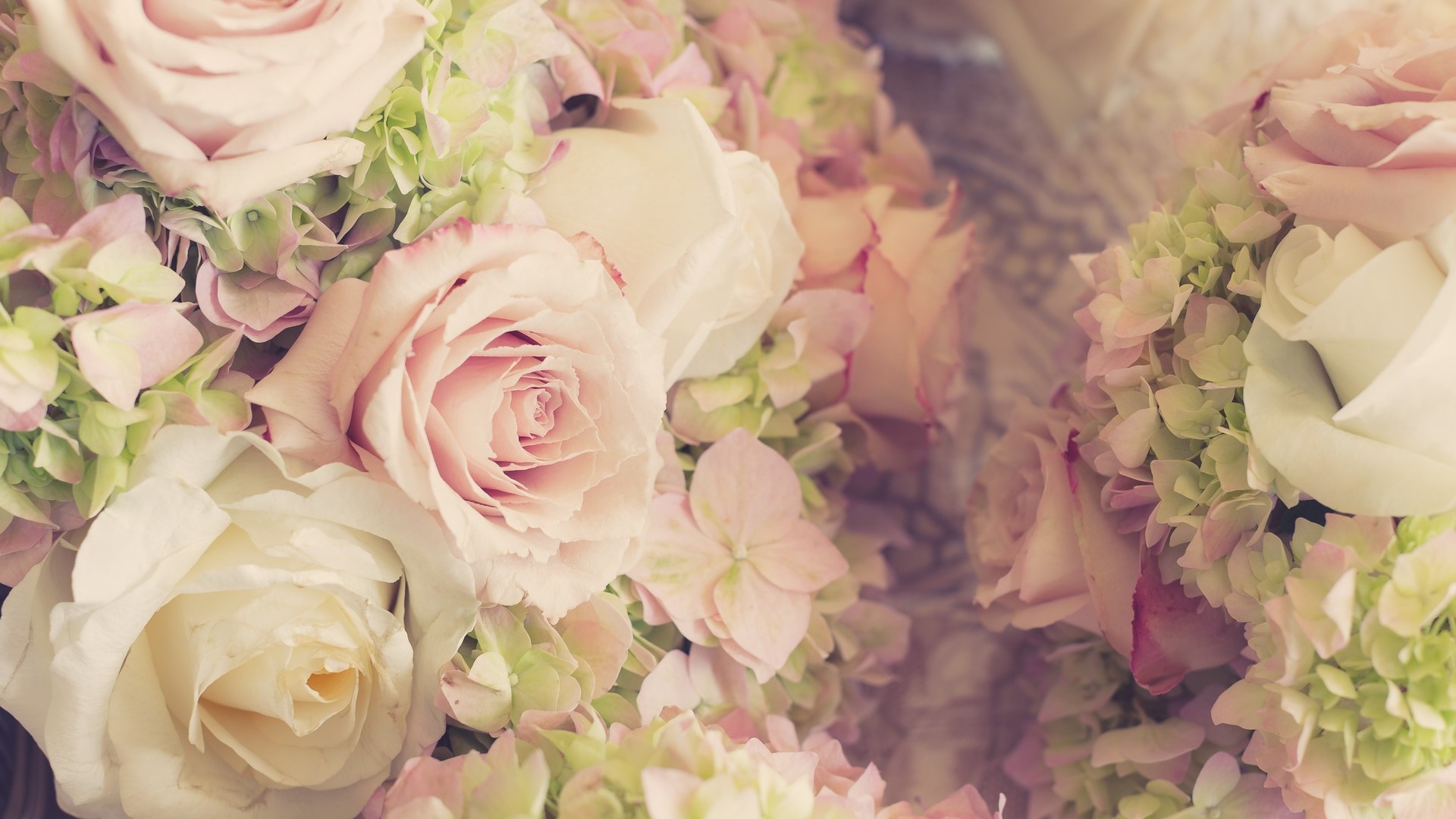 香槟玫瑰,婚礼,鲜花,美好浪漫桌面壁纸