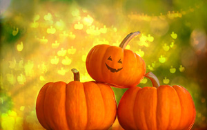 ʥڣɰϹϣʥڱֽ