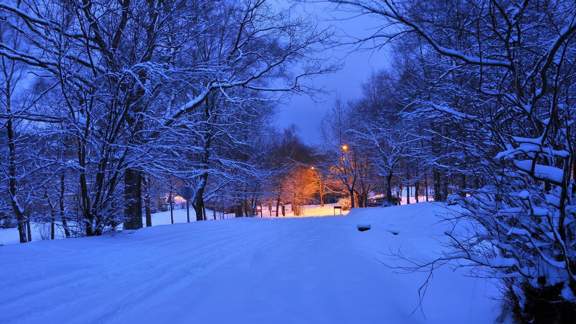 夜 晚上 光 灯 冬天 公路图片 风景壁纸 风景壁纸 壁纸下载 彼岸桌面