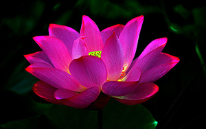 ꣬ˮΣҶӣֽ