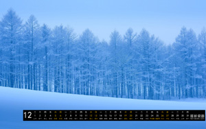 Ψ羰 ֺѩ_˰201512ֽ
