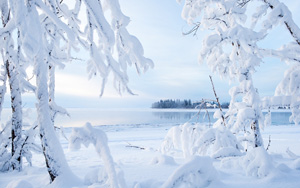 雪景图,湖,树,冬天雪景壁纸