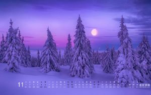 ɭѩ ˰201611ֽ
