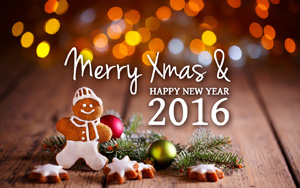 2016ʥ,,ʥڿɰװ,ֽ